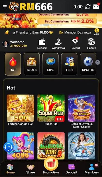 RM666 Game APK